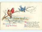 Divided-Back christmas THREE LITTLE BIRDS SITTING ON A BRANCH 60.000 cards v2215