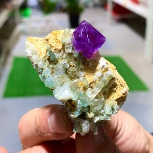 35G Natural Púrpura Fluorita Cúbica Blanco Cristal Racimos Paragénesis/China - Imagen 1 de 16