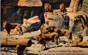 Cartolina di lino Lion Den In Zoological Park Detroit Mich 22 agosto 1945 - Foto 1 di 4