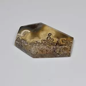 TNT: Unknown Multi-color Agate Cut Polished Natural Stone Coffin Shape Cabochon - Picture 1 of 5