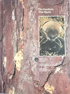 The Southern Pine Beetle by US department of Agriculture - Good - Picture 1 of 10