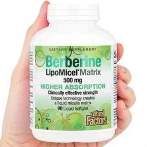 Natural Factors, Berberine LipoMicel Matrix, 90 Liquid Softgels - Picture 1 of 2