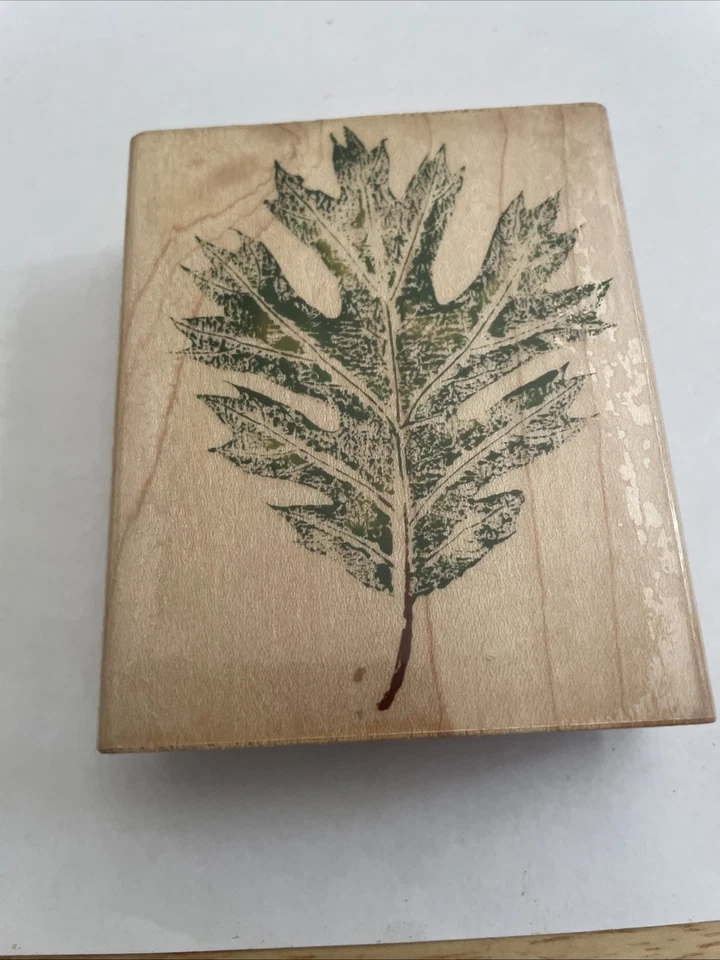 Резиновый штамп Stampede Oak Leaf осень сезон природа растение изготовление открыток рукоделие - Изображение 1 из 3