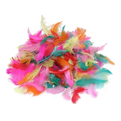BUNTE DEKO BASTEL FEDERN / Farbige Bastelfedern Karneval Geburtstag Party Deko - Bild 1 von 2
