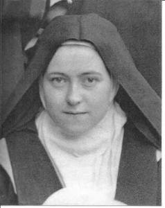 Holy Card of St. Therese w/ Miraculous Prayer, Scapular, Info. Pamphlet & Relic - Picture 1 of 6