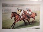 The Triple By Michelle Perry Nijinsky Lester Piggott Horse Racing