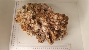 Nr.26 Nano Aquarium echtes Riffgestein Felsen Stein Einzelstück *RAR Meerwasser* - Bild 1 von 5