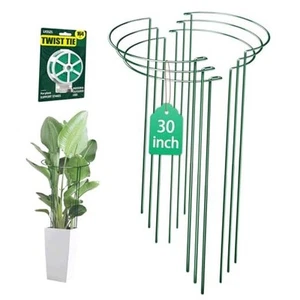 6 Pack 30 inch Plant Support Stakes, Heavy-Duty Half Round Peony 30INCH-6PACK - Picture 1 of 8