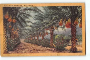 Alte Vintage 1946 Datum Palmen Kalifornien Leinen Postkarte - Bild 1 von 2
