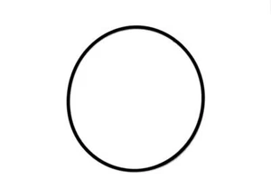 Genuine CASIO Case Back O-Ring MDV106 MDV303D MDV106B MDV106D MVD106G GASKET   - Picture 1 of 3