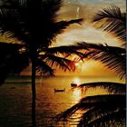 Florida Sunset Robert Fraund Koppel Color Cards Vintage Palm Trees Ocean Boats