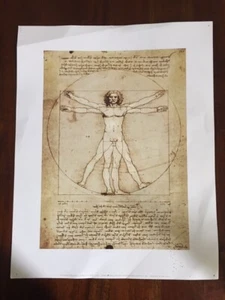 Leonardo Da Vinci Virtuvian Man Poster Photo Art 11 X 14 - Picture 1 of 3