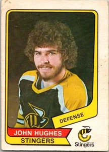 1976-77 O-Pee-Chee WHA #106 John Hughes ref.503 - Picture 1 of 3