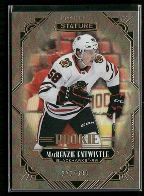 2020-21 Upper Deck Stature - Rookies MacKenzie Entwistle #168 /399 (RC) - Image 1 of 2