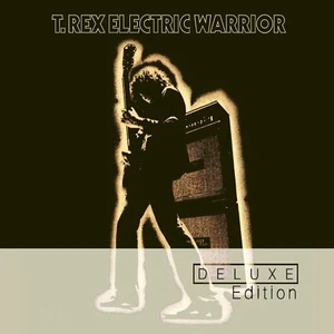Electric Warrior - Picture 1 of 1