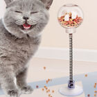 Leaking Ball Toy for Indoor Cats - Treat Dispenser and Teasing Track Gift