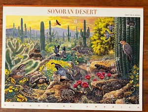 Sonoran Desert (Nature Series) Sheet of 10 Stamps - MNH 33 Cents USA - Foto 1 di 2