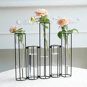 Test Tube Vase for Flowers, Set of 5 Glass Vase with Metal Swivel Holder, Bla... - Picture 1 of 8