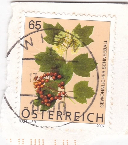 Wien cancel Austria 2007 on Gelder Rose 65c VGC Cover