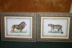 Felis Leo Lion & Felis Tigris Tiger Prints from Original Iconographia Zoologica - Bild 1 von 9
