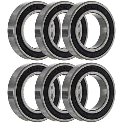 Cojinete de rueda de nicho para BMW G450X 25x42x9 cromo acero goma paquete de 6 Foto 1 de 4