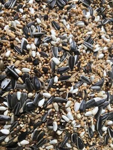 Tessmers Großsittichfutter 950 g Premium Qualität Nymphensittich Ziegensittich - Bild 1 von 1