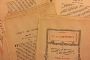 LOTE de 10 hojas de papel antiguo de colección 1899 l arte alterado diario basura efímero - Imagen 1 de 2