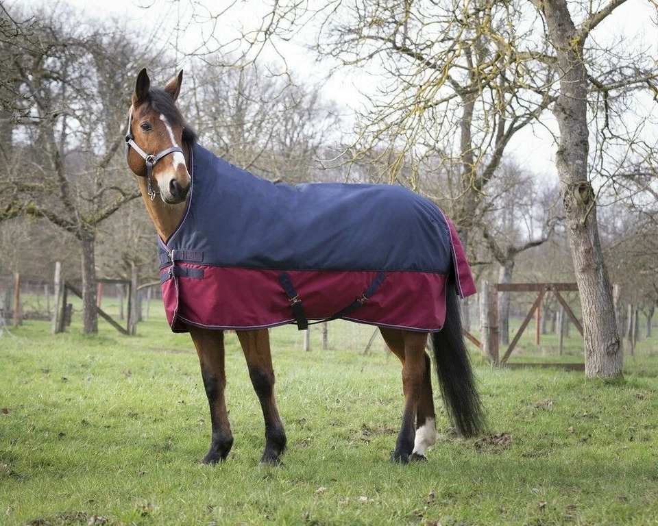 EQUI-THÈME TYREX 1200 D High Neck Decke Regendecke Weidedecke - Bild 1 von 1