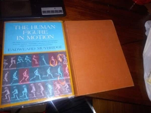 Eadweard Muybridge, Lewis S Brown Animals in Motion 1957 Human figure in motion - Bild 1 von 2