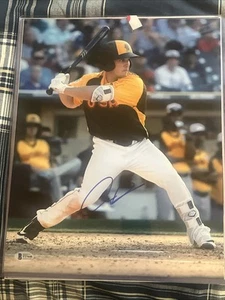 Alex Bregman Boston Red Sox Houston Astros Signed 11x14 Photo Team USA Beckett - Picture 1 of 1
