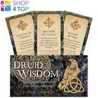 Druid Wisdom Inspiration Mappe Deck Rockpool Publishing Andres Engracia Nuovo