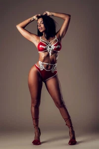 Vida Guerra Model Attractive Aritst Print Wall Art Home Decor - POSTER 20x30 - Picture 1 of 3