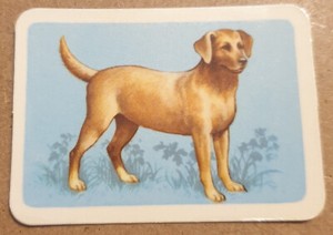 Rare Vintage Dogs Tuckfields Tea Cards - Excellent Condition
