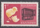 BULGARIA 1967 SC#1599 MNH** 1s st., Economic success - Chick and incubator.