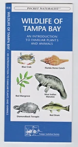 WILDLIFE OF TAMPA BAY FLORIDA INFO PAMPHLET (POCKET NATURALIST) - Picture 1 of 2