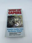 Cutest Cat Capers VHS Candid Cuddly Cats & Kittens On Home Video