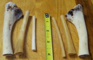 WILD TURKEY WING BONES - 2 SETS (alle drei Knochen), 6 BONES (gesamt) ruft Tom WB3 - Bild 1 von 2