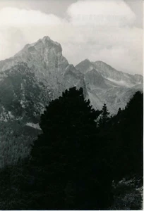 LES TATRAS c. 1950 - 3 Photos Tchécoslovaquie - NV 3653 - Picture 1 of 6