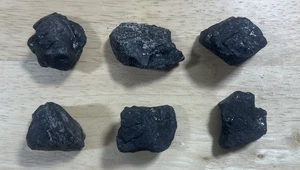 Bituminous Coal - Geologist Rock Samples - Package Of 6 - Ward's Science - Picture 1 of 6