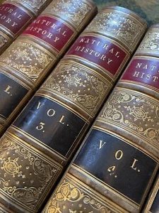 J G Wood : The Illustrated Natural History (5 Volumes) Australia : Leather Set - Picture 1 of 18