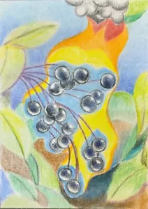 Than Rawford - Enflamed Elderberries - ACEO Original Colored Pencil Drawing... - Picture 1 of 4