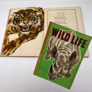 Vintage Wildlife - A Book Of Nature Stories Blandford Press Hardback Children's - Picture 1 of 9