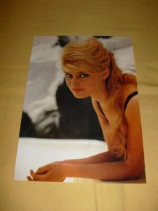 Brigitte Bardot PHOTO (NON-Orignale) - Foto 1 di 1