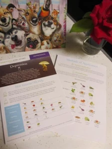 1x doterra essential oils HOW TO mini TEAR SHEET chart page DEPRESSION -2sided - Picture 1 of 2