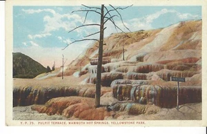 POSTCARD PULPIT TERRACE MAMMOTH HOT SPRINGS YELLOWSTONE NATIONAL PARK - Picture 1 of 2