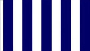 NAVY BLUE and WHITE STRIPE FLAG 3' x 2' Striped West Bromwich Albion SLEEVED - Picture 1 of 1