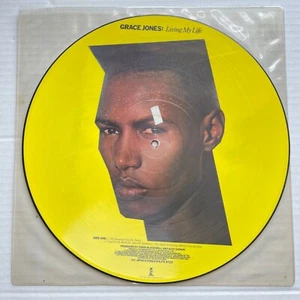 GRACE JONES Living My Life 1982 Island Records UK Only PICTURE DISC LP Disco - Picture 1 of 2