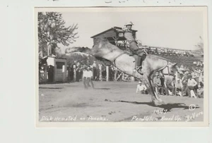 PHOTO DICK HEMSTED ON PONOKA PENDLETON ROUNDUP OREGON - 0N POSTCARD STOCK - Picture 1 of 2