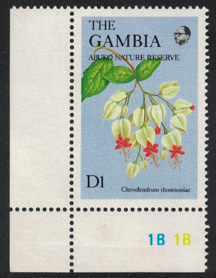 Gambia 'Clerodendrum thomsoniae' Flores 1987 MNH SG#716 Foto 1 de 1