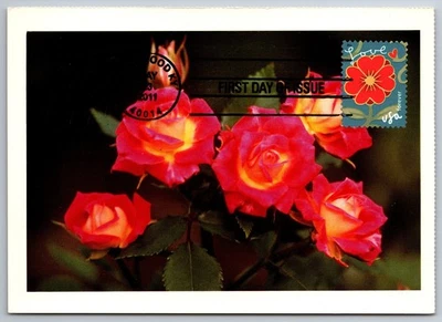 #4532 Garden of Love Red Flower FDC Maxi Card - Image 1 of 2